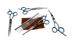 Mobile dog grooming Murrieta CA