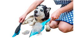 Mobile De-shedding treatment for dogs