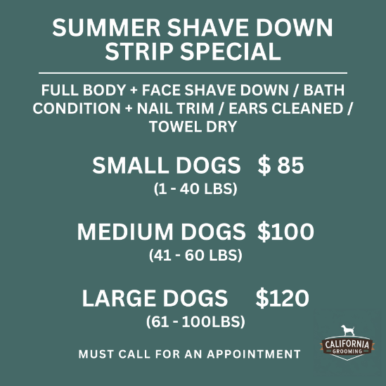 Grooming Special